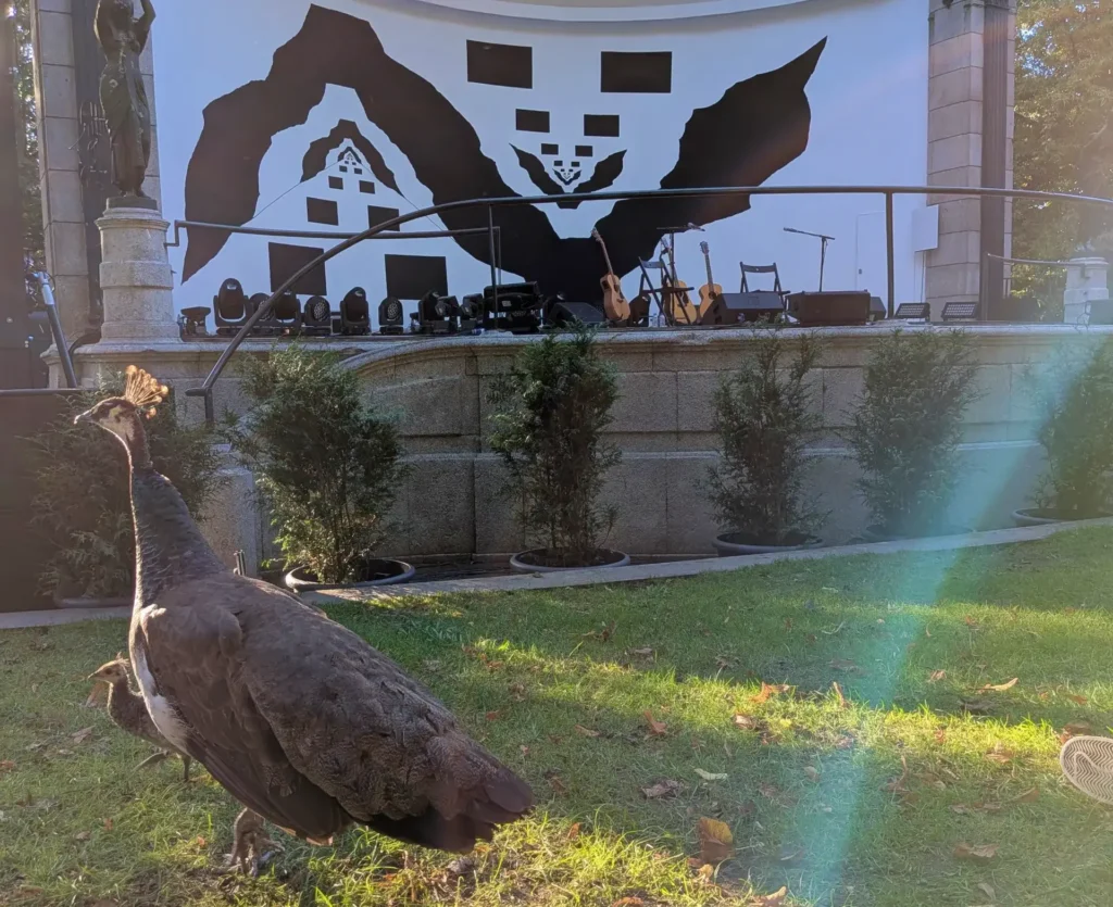 L'artiste sur l'herbe © VA pour La Gazette de Porto